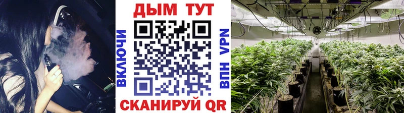 Конопля планчик  Купить закладки  Кирово-Чепецк 